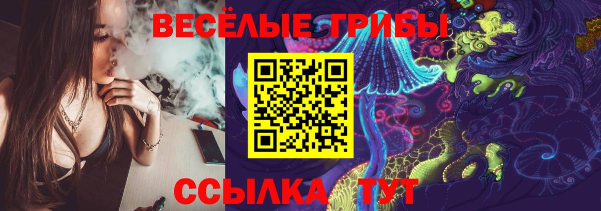 Псилоцибиновые грибы Psilocybine cubensis Балашов